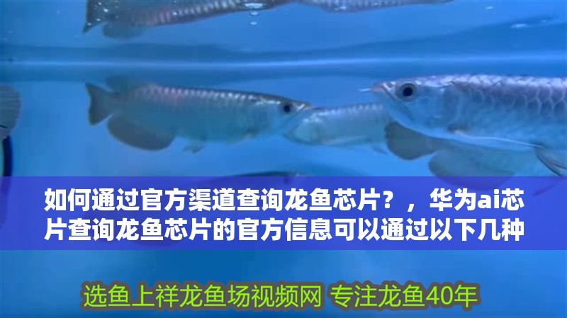 如何通過官方渠道查詢龍魚芯片？，華為ai芯片查詢龍魚芯片的官方信息可以通過以下幾種方式