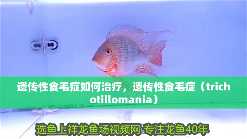遺傳性食毛癥如何治療，遺傳性食毛癥（trichotillomania）