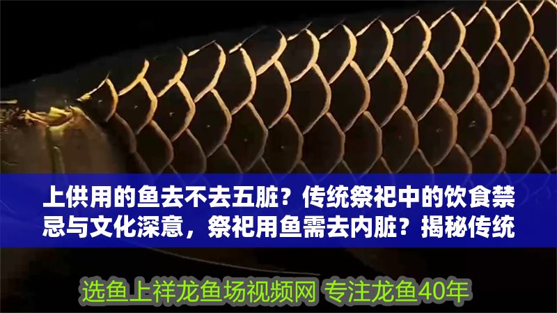 上供用的魚去不去五臟？傳統祭祀中的飲食禁忌與文化深意，祭祀用魚需去內臟？揭秘傳統供品背后的飲食禁忌與文化內涵
