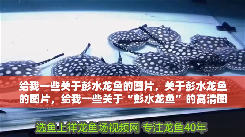 給我一些關于彭水龍魚的圖片，關于彭水龍魚的圖片，給我一些關于“彭水龍魚”的高清圖鑒清單