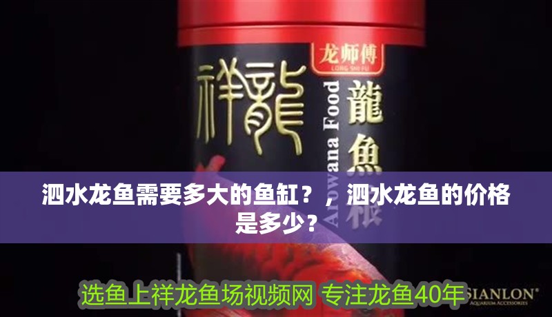 泗水龍魚需要多大的魚缸？，泗水龍魚的價格是多少？