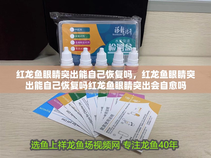 紅龍魚眼睛突出能自己恢復嗎，紅龍魚眼睛突出能自己恢復嗎紅龍魚眼睛突出會自愈嗎
