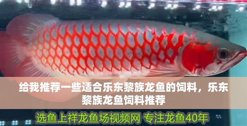 給我推薦一些適合樂東黎族龍魚的飼料，樂東黎族龍魚飼料推薦