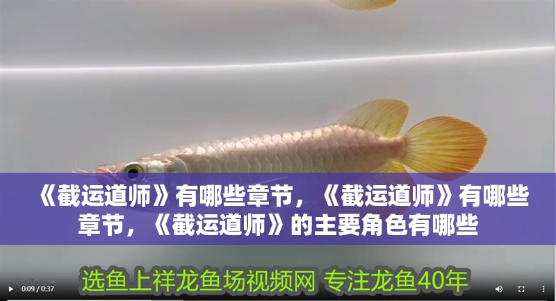 《截運道師》有哪些章節，《截運道師》有哪些章節，《截運道師》的主要角色有哪些