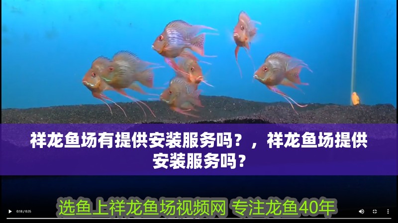 祥龍魚場(chǎng)有提供安裝服務(wù)嗎？，祥龍魚場(chǎng)提供安裝服務(wù)嗎？
