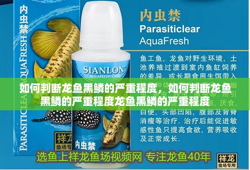 如何判斷龍魚黑鱗的嚴(yán)重程度,如何判斷龍魚黑鱗的嚴(yán)重程度龍魚黑鱗的嚴(yán)重程度