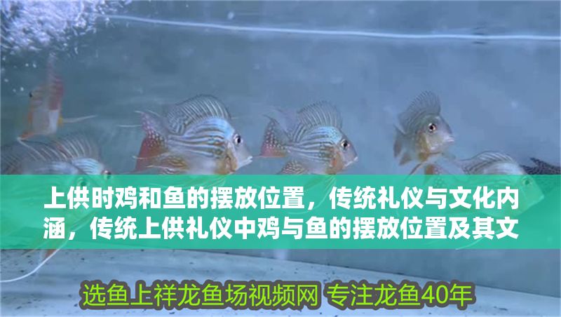 上供時雞和魚的擺放位置，傳統禮儀與文化內涵，傳統上供禮儀中雞與魚的擺放位置及其文化內涵解析