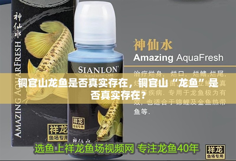銅官山龍魚是否真實存在，銅官山“龍魚”是否真實存在？