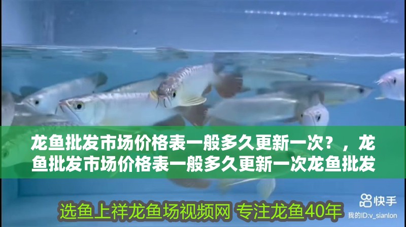 龍魚批發市場價格表一般多久更新一次？，龍魚批發市場價格表一般多久更新一次龍魚批發市場價格表