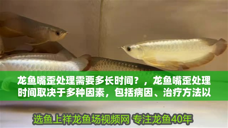龍魚嘴歪處理需要多長時間?,龍魚嘴歪處理時間取決于多種因素,包括病因、治療方法以及個體差異