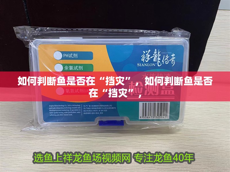 如何判斷魚(yú)是否在“擋災(zāi)”，如何判斷魚(yú)是否在“擋災(zāi)”，