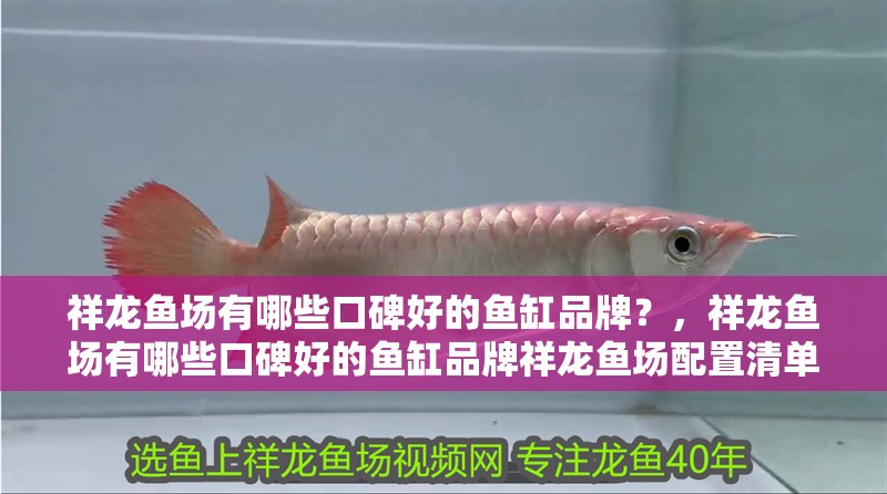 祥龍魚場有哪些口碑好的魚缸品牌？，祥龍魚場有哪些口碑好的魚缸品牌祥龍魚場配置清單