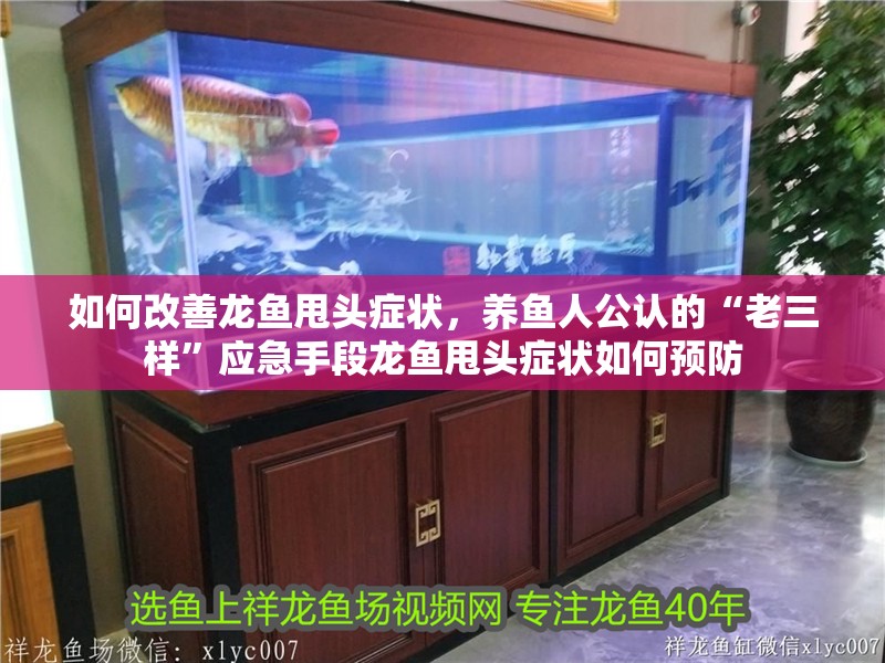 如何改善龍魚甩頭癥狀,養魚人公認的“老三樣”應急手段龍魚甩頭癥狀如何預防