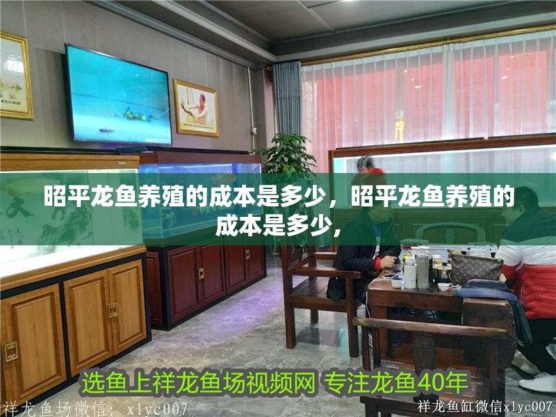 昭平龍魚養殖的成本是多少，昭平龍魚養殖的成本是多少,