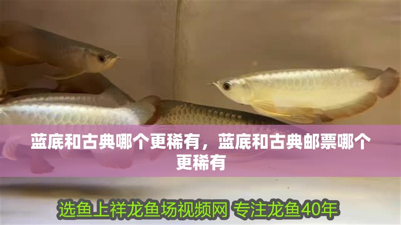藍底和古典哪個更稀有，藍底和古典郵票哪個更稀有