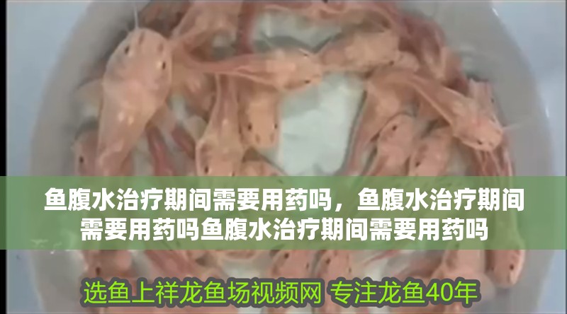 魚腹水治療期間需要用藥嗎，魚腹水治療期間需要用藥嗎魚腹水治療期間需要用藥嗎