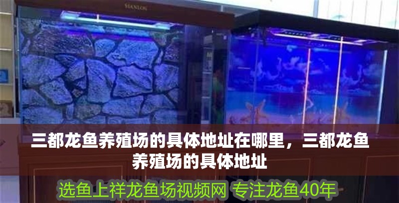 三都龍魚養殖場的具體地址在哪里，三都龍魚養殖場的具體地址