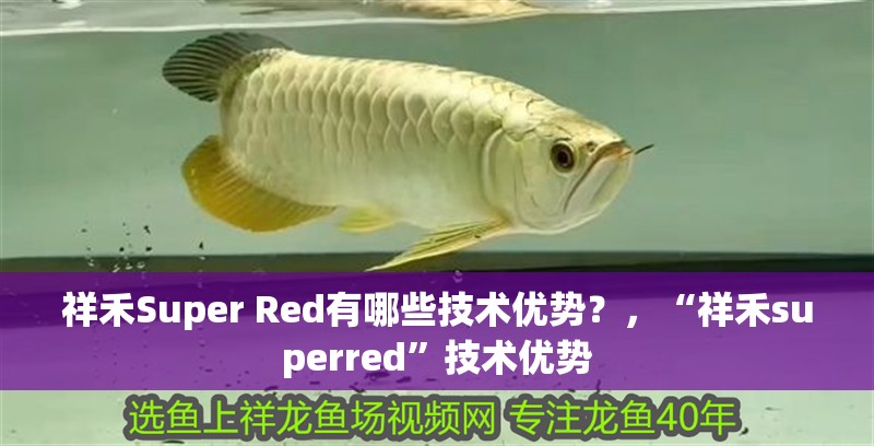 祥禾Super Red有哪些技術優勢？，“祥禾superred”技術優勢