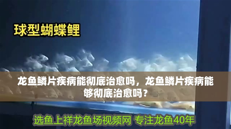 龍魚鱗片疾病能徹底治愈嗎，龍魚鱗片疾病能夠徹底治愈嗎？