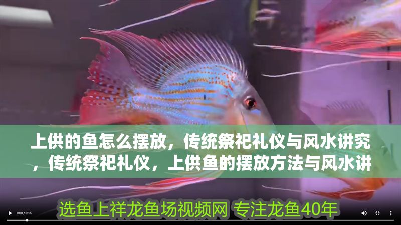 上供的魚怎么擺放，傳統(tǒng)祭祀禮儀與風(fēng)水講究，傳統(tǒng)祭祀禮儀，上供魚的擺放方法與風(fēng)水講究