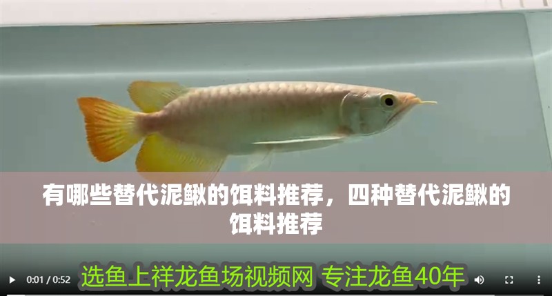 有哪些替代泥鰍的餌料推薦，四種替代泥鰍的餌料推薦
