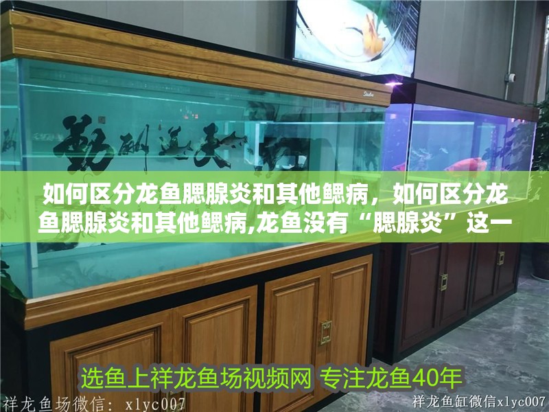 如何區分龍魚腮腺炎和其他鰓病，如何區分龍魚腮腺炎和其他鰓病,龍魚沒有“腮腺炎”這一醫學概念