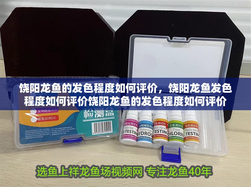 饒陽龍魚的發色程度如何評價，饒陽龍魚發色程度如何評價饒陽龍魚的發色程度如何評價
