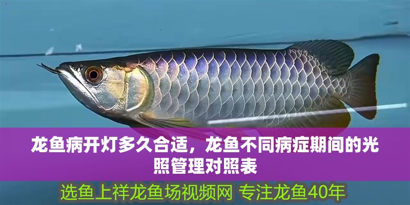 龍魚病開燈多久合適,龍魚不同病癥期間的光照管理對照表