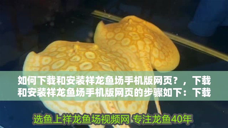 如何下載和安裝祥龍魚場手機版網頁?,下載和安裝祥龍魚場手機版網頁的步驟如下:下載和安裝步驟
