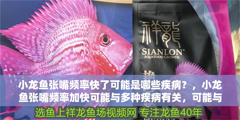 小龍魚張嘴頻率快了可能是哪些疾病?,小龍魚張嘴頻率加快可能與多種疾病有關,可能與多種疾病有關