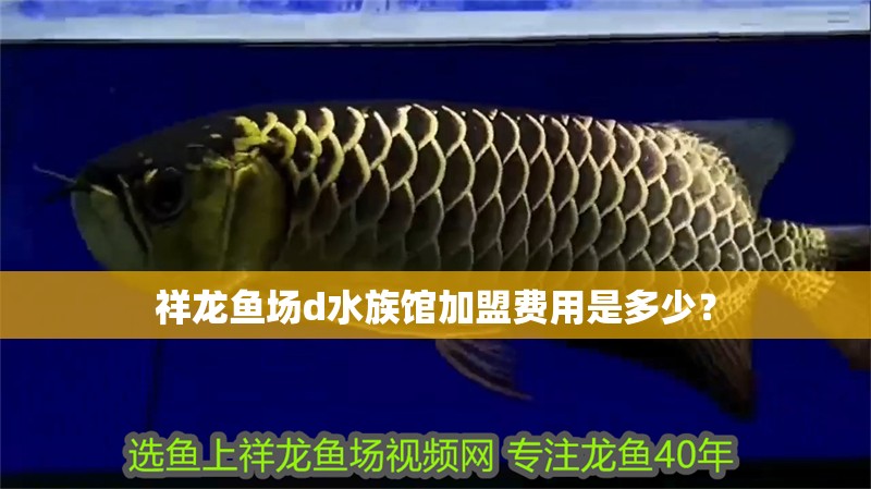 祥龍魚場d水族館加盟費用是多少?
