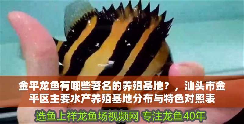 金平龍魚有哪些著名的養(yǎng)殖基地？，汕頭市金平區(qū)主要水產(chǎn)養(yǎng)殖基地分布與特色對照表