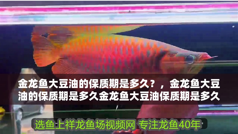 金龍魚大豆油的保質期是多久？，金龍魚大豆油的保質期是多久金龍魚大豆油保質期是多久