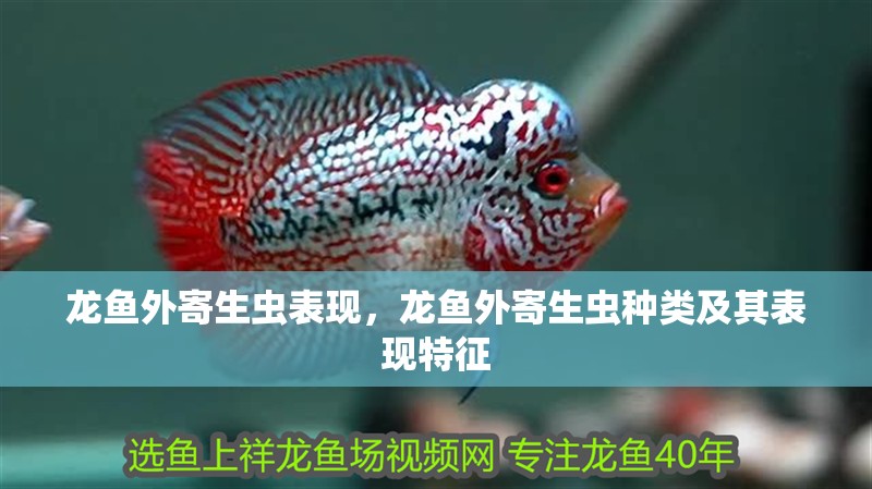 龍魚外寄生蟲表現,龍魚外寄生蟲種類及其表現特征
