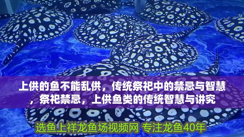 上供的魚不能亂供，傳統祭祀中的禁忌與智慧，祭祀禁忌，上供魚類的傳統智慧與講究