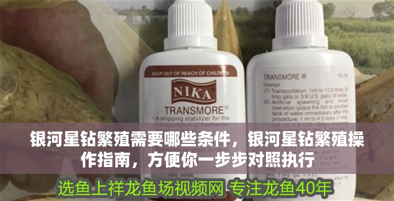 銀河星鉆繁殖需要哪些條件,銀河星鉆繁殖操作指南,方便你一步步對照執行