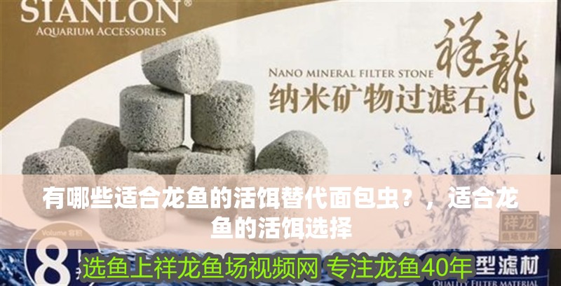 有哪些適合龍魚(yú)的活餌替代面包蟲(chóng)?,適合龍魚(yú)的活餌選擇