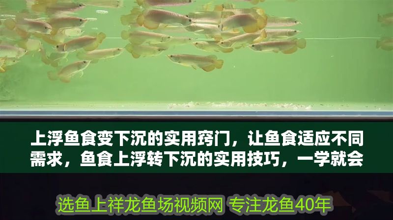 上浮魚食變下沉的實用竅門，讓魚食適應不同需求，魚食上浮轉下沉的實用技巧，一學就會！