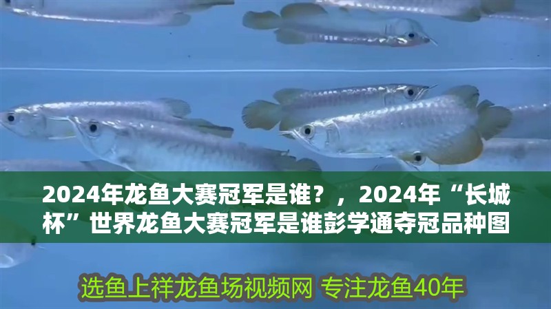2024年龍魚大賽冠軍是誰?,2024年“長(zhǎng)城杯”世界龍魚大賽冠軍是誰彭學(xué)通奪冠品種圖鑒