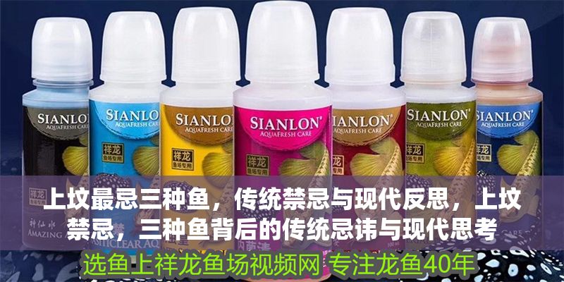 上墳最忌三種魚，傳統禁忌與現代反思，上墳禁忌，三種魚背后的傳統忌諱與現代思考