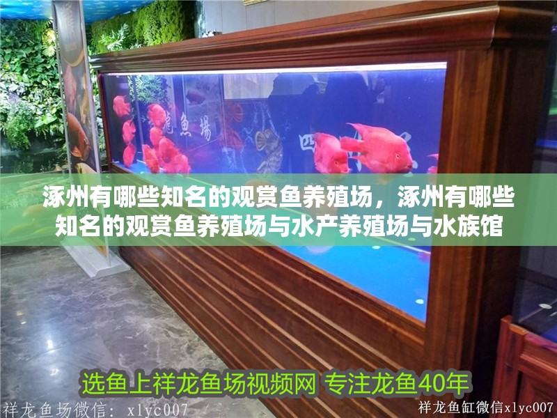 涿州有哪些知名的觀賞魚養殖場，涿州有哪些知名的觀賞魚養殖場與水產養殖場與水族館