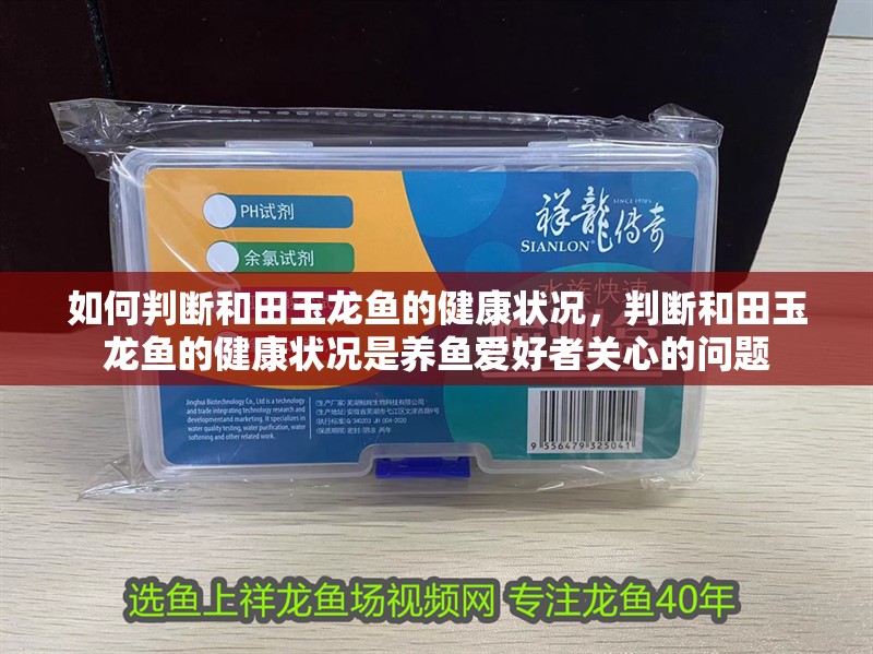 如何判斷和田玉龍魚的健康狀況,判斷和田玉龍魚的健康狀況是養(yǎng)魚愛好者關(guān)心的問題
