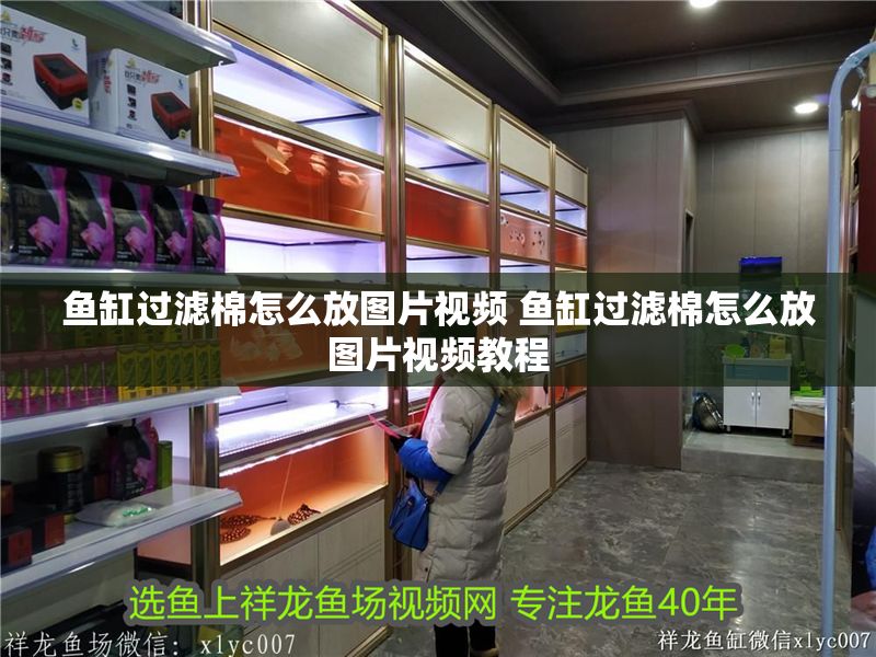 魚(yú)缸過(guò)濾棉怎么放圖片視頻 魚(yú)缸過(guò)濾棉怎么放圖片視頻教程