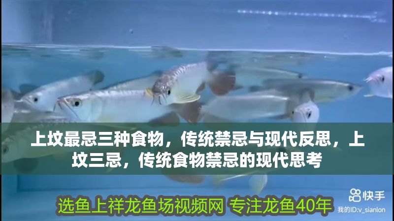 上墳最忌三種食物，傳統(tǒng)禁忌與現(xiàn)代反思，上墳三忌，傳統(tǒng)食物禁忌的現(xiàn)代思考 上墳最忌三種食物，傳統(tǒng)禁忌與現(xiàn)代反思，上墳三忌，傳統(tǒng)食物禁忌的現(xiàn)代思考 龍魚百科 第1張