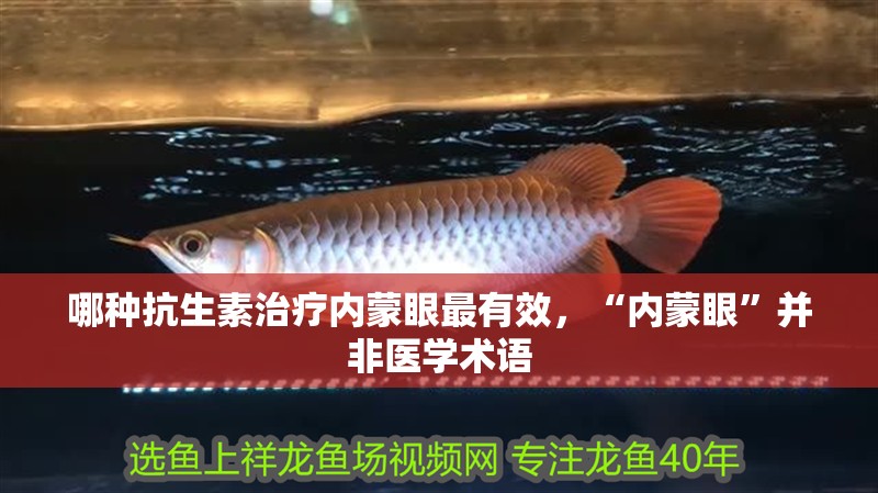 哪種抗生素治療內蒙眼最有效，“內蒙眼”并非醫學術語