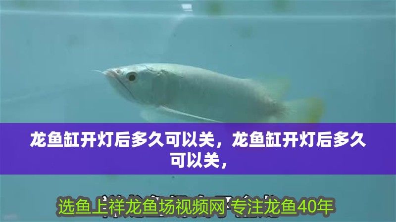 龍魚缸開燈后多久可以關，龍魚缸開燈后多久可以關，