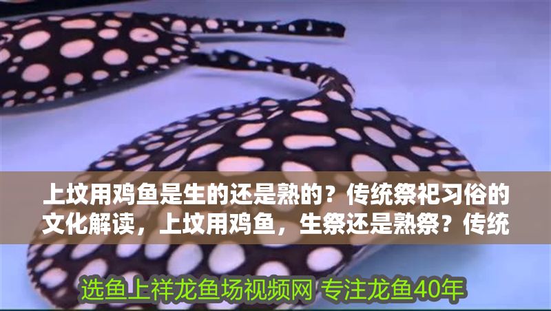 上墳用雞魚是生的還是熟的？傳統祭祀習俗的文化解讀，上墳用雞魚，生祭還是熟祭？傳統祭祀習俗的文化解析