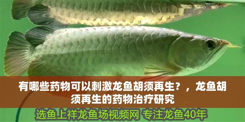 有哪些藥物可以刺激龍魚胡須再生?,龍魚胡須再生的藥物治療研究
