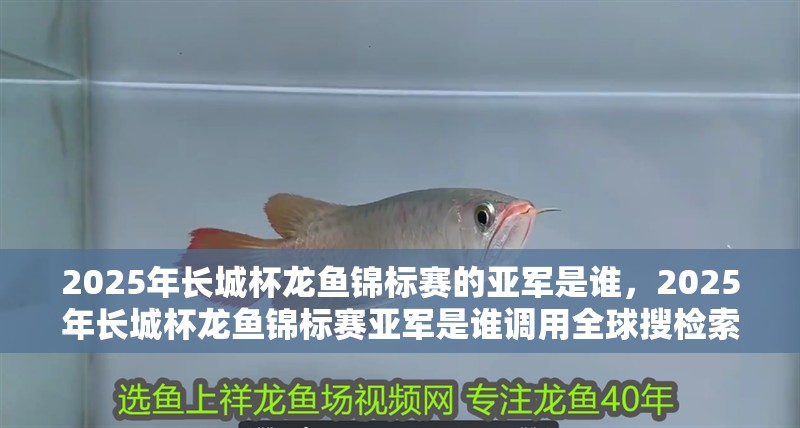 2025年長城杯龍魚錦標賽的亞軍是誰,2025年長城杯龍魚錦標賽亞軍是誰調用全球搜檢索12篇資料