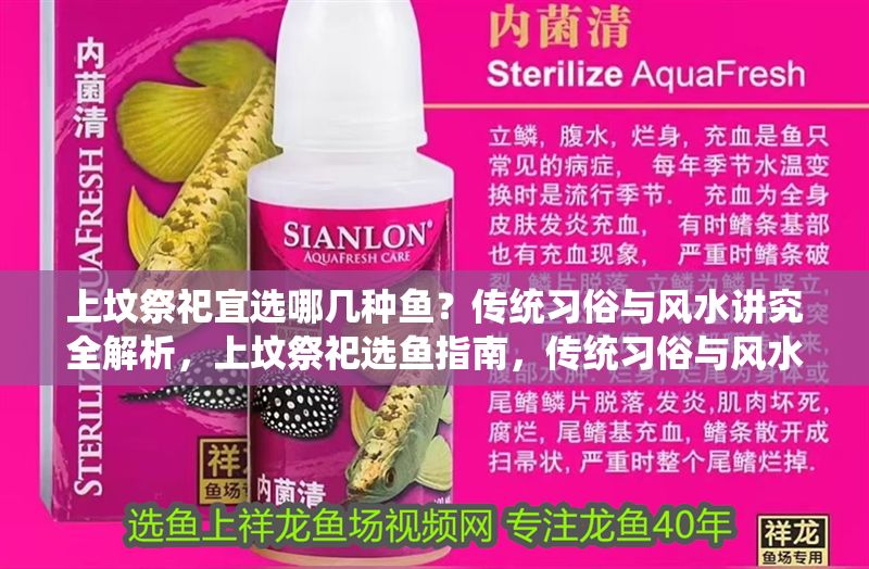 上墳祭祀宜選哪幾種魚？傳統習俗與風水講究全解析，上墳祭祀選魚指南，傳統習俗與風水禁忌全解析
